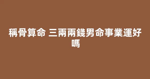 稱骨算命 三兩兩錢男命事業運好嗎